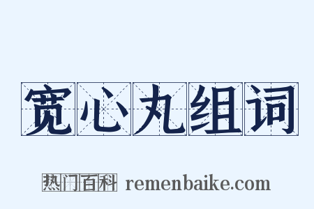 宽心丸组词是什么意思的图片